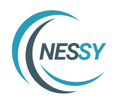 Nessy LLC Logo